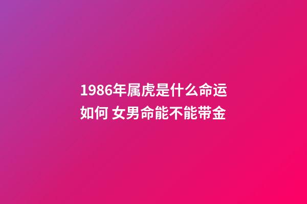 1986年属虎是什么命运如何 女男命能不能带金